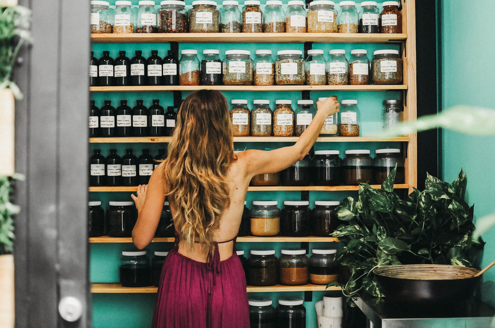 Matriarch Herbs - Laci Siliva Herbalist